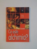 CE ESTE ALCHIMIA de PIERRE LASZLO , 2004 * PREZINTA HALOURI DE APA
