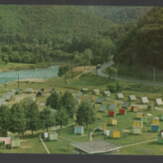 CPI B 11751 CARTE POSTALA - CAMPING LA COZIA