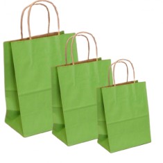 Pungi natur, colorate 100% verde deschis - 32x12x41 - 100 buc.