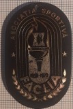 Breloc Asociatia sportiva Faclia, fotbal, 1970