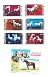 ras al khaima cai foto