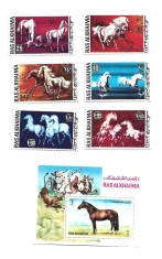 ras al khaima cai foto