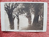 Carte postala, Inundatii pe Borcea/M.H. Georgescu