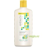 Sampon cu Extract de Citrice si Floarea-Soarelui pentru Par Tern si Lipsit de Stralucire 340ml Secom,