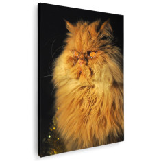 Tablou pisica persana crem pisici Tablou canvas pe panza CU RAMA 30x40 cm
