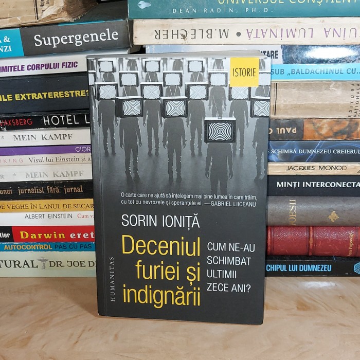 SORIN IONITA - DECENIUL FURIEI SI INDIGNARII , 2021 #