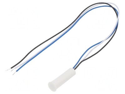 Senzor reed Rază 18,4mm P&amp;icirc;ntrerup 5W &amp;Oslash;10,7x31mm SPDT foto