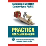 Practica merchandisingului