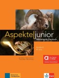 Aspekte junior B1+. Hybride Ausgabe allango - Paperback brosat - Helen Schmitz, Tanja Sieber, Ute Koithan - Klett Sprachen