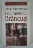 Serge Fauchereau Pe urmele lui Brancusi