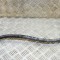 Furtun de lichid de răcire BMW 3 F30, F80 2017 OEM: 8616140 15524767