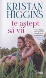 Kristan Higgins - Te astept sa vii