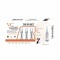 Fiole cu Vitamina C si Niacinamida Dr. Rashel 7 x 2 ml