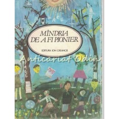 Mindria De A Fi Pionier