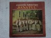 Orchestra ansamblului folcloric Banatul Timisoara disc vinyl muzica populara VG, Electrecord