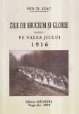 Ion D. Isac - Zile de sbucium si glorie. Pe Valea Jiului 1916, volumul 1