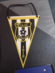 Fanion Jiul Petrosani foto