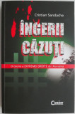 Ingerii cazuti. O istorie a Extremei Drepte din Romania - Cristian Sandache