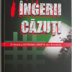 Ingerii cazuti. O istorie a Extremei Drepte din Romania - Cristian Sandache