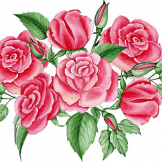 Sticker decorativ Trandafiri, Rosu, 45 cm, 3161ST