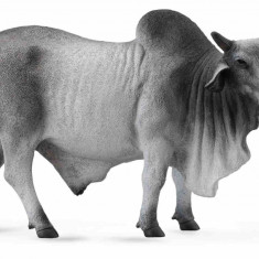 Taur Brahman L - Animal figurina