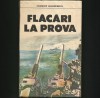 Flăcări la Prowă - Costache Alexandrescu - Roman Istoric