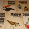 Set 5 carti - insecte , pasari , fructe - ilustratii multe - color - in limba maghiara - 1974-1979