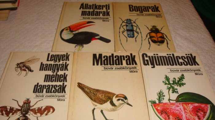 Set 5 carti - insecte , pasari , fructe - ilustratii multe - color - in limba maghiara - 1974-1979