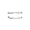 Catalizator NISSAN NOTE E11 BM CATALYSTS BM91526H