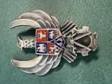 Insigna Inginer aviatia militara Romania dupa 2000 inseriata 0002