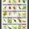 BHUTAN 1997 FAUNA INSECTE