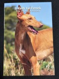Malta 2026 &ndash; 2 &euro; &ndash; Rase autohtone malteze &ndash; C&acirc;inele Faraon (Pharaoh Hound) &ndash; BU