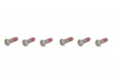 Set șuruburi pentru discuri de fr&acirc;nă M8x1,25mm, lungime: 29,5mm, cantitate: 6pcs, material: oțel, Trw