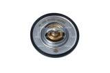 NRF 725155 EASY FIT termostat,lichid racire