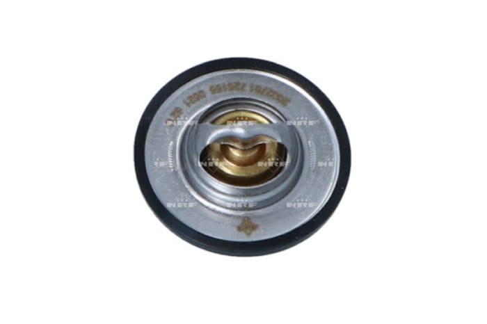 NRF 725155 EASY FIT termostat,lichid racire