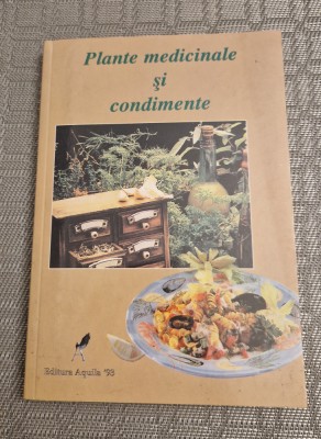 Plante medicinale si condimente foto