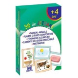 Oameni, Animale, Plante, Fenomene Ale Naturii, Elemente De Igiena, Anotimpuri - 36 De Jetoane, - Editura DPH
