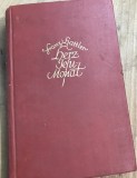 CRT9DE Carte veche Germana -Franz Hattler - Herz Jesu Monat - Carte veche de rugaciuni si teologie catolica germana