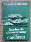 Dealurile piemontane ale Gosustei Alexandru Schiopoiu