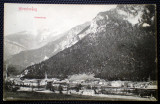 P.218 CP AUSTRIA HIRSCHWANG 1909, Circulata, Printata