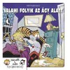 K&aacute;zm&eacute;r &eacute;s Huba 2. - Valami folyik az &aacute;gy alatt - K&aacute;zm&eacute;r &eacute;s Huba gyűjtem&eacute;ny 2. - Bill Watterson