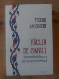 Faclia de smalt. Recomandari iubitoare intr-un secol dezordonat - Teodor Baconschi
