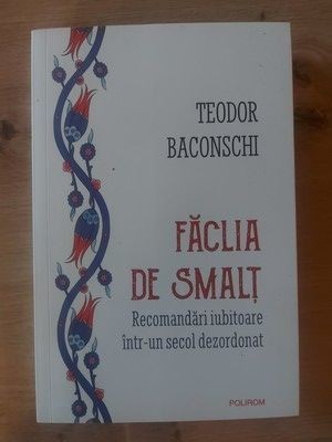 Faclia de smalt. Recomandari iubitoare intr-un secol dezordonat - Teodor Baconschi foto
