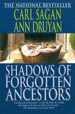 Shadows of Forgotten Ancestors foto