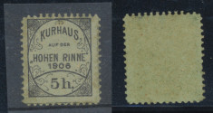 HOHE RINNE 1906 Posta locala Paltinis timbru neuzat 5 helleri MNH foto