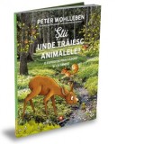 Stii unde traiesc animalele? O expeditie prin padure si pe la campie - Iulia Dromereschi, Peter Wohlleben