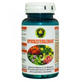 HIPOCOLESTEROLEMIANT 60cps HYPERICUM, HYPERICUM IMPEX