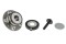 icon 1