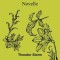 Im Sonnenschein: Novelle
