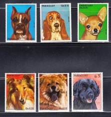 A12 S5 10 - Timbre foarte vechi - Paraguay - rase de caini